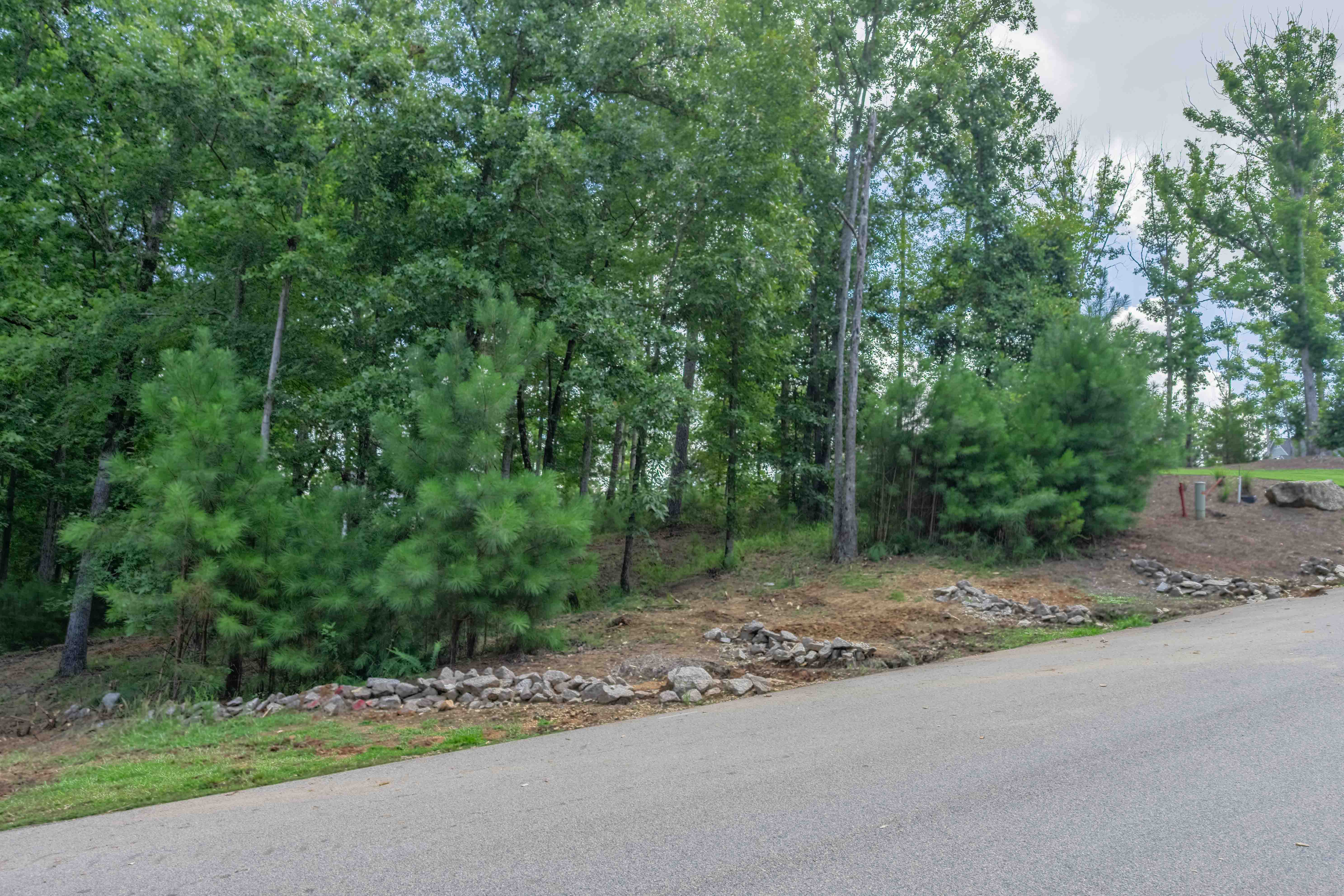 1090 Lumbering Creek image 5